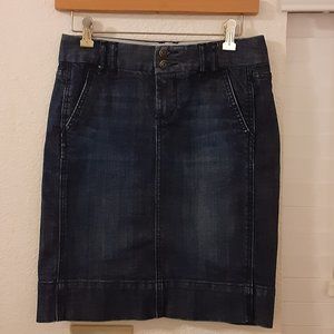 Gap 1969 Limited Edition Denim Skirt  1